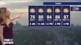 Tampa weather | Partly cloudy conditions