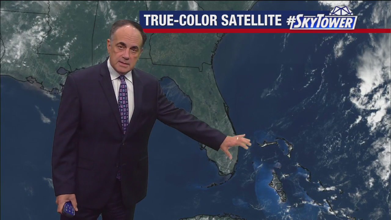 Tampa Weather | No rain in sight