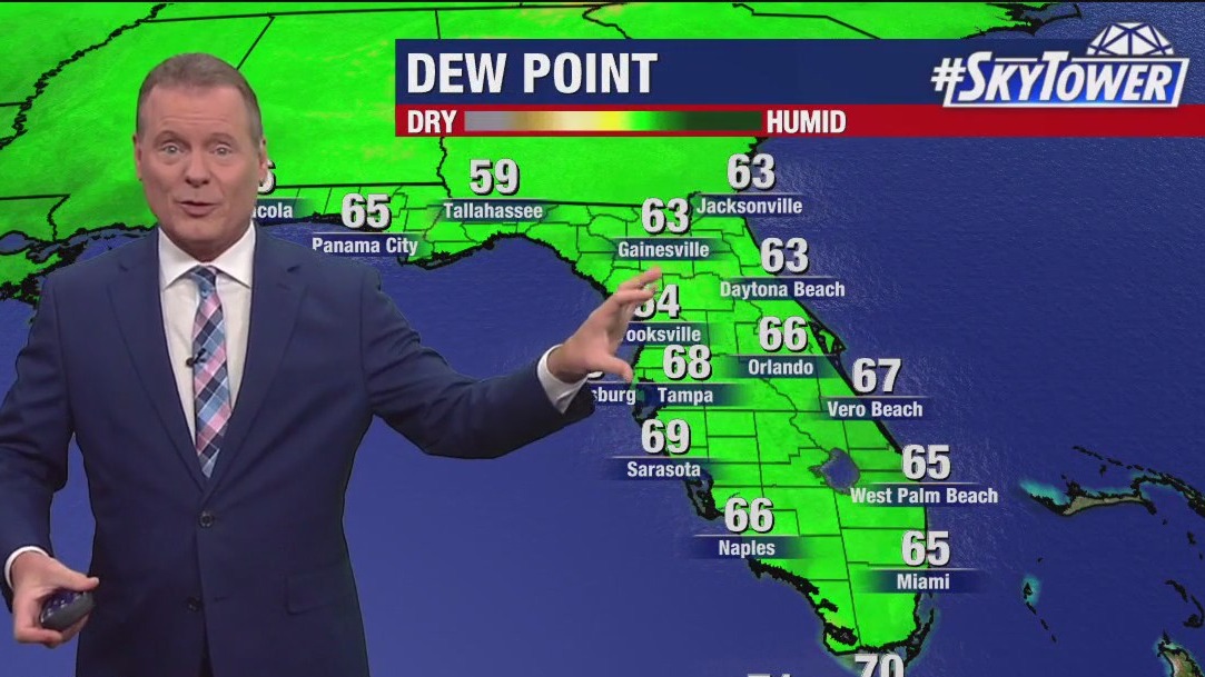Tampa weather | Wednesday forecast