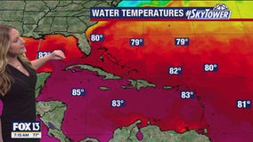 Tampa weather | Temps rise throughout Saturday