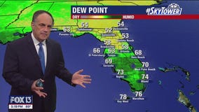 Tampa Weather | Possible signs of rainy season next week