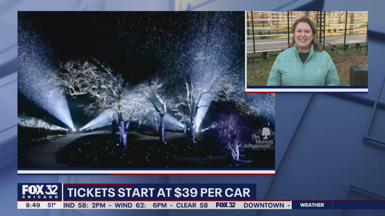 Harness the holiday spirit with Tree Lights at the Morton Arboretum