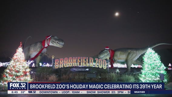 Brookfield Zoo's 'Holiday Magic' celebrating its 39th year