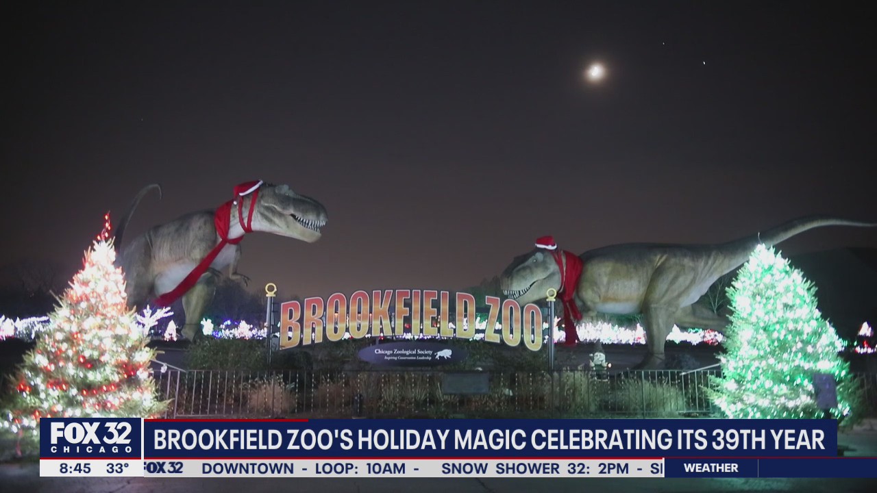 Brookfield Zoo's 'Holiday Magic' celebrating its 39th year