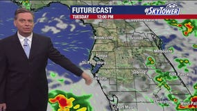 Tampa Weather | Daily showers & storms