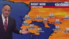 Tampa weather | Friday evening forecast