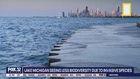 Environmental dangers a growing concern in the Great Lakes