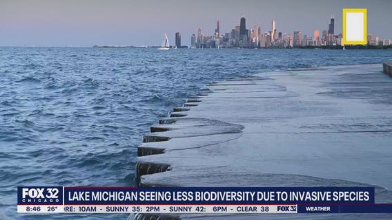 Environmental dangers a growing concern in the Great Lakes