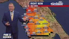 Tampa weather | Warm and partly cloudy