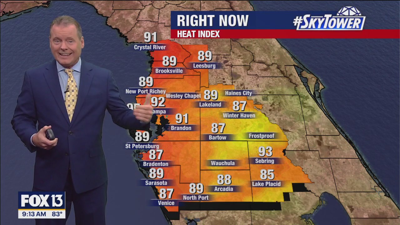 Tampa weather | Warm and partly cloudy