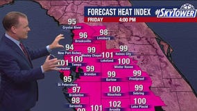 Tampa weather | Friday forecast