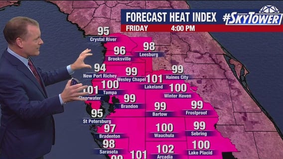 Tampa weather | Friday forecast