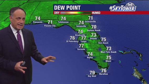 Tampa weather | Thursday evening forecast