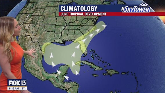 Tampa weather | Warm temperatures and clear skies