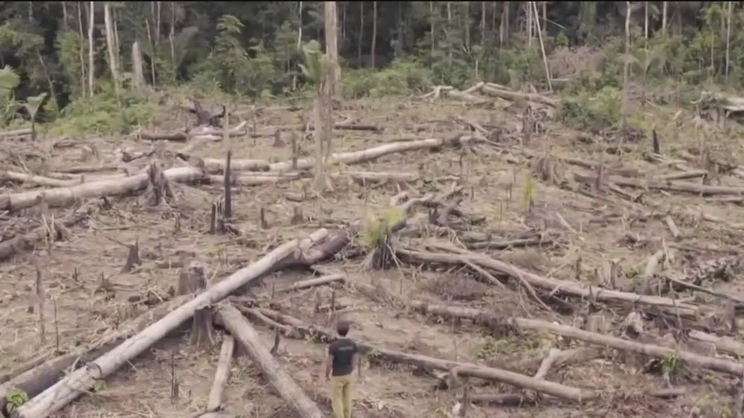 Gold mining is sucking the Amazon dry