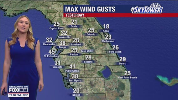 Tampa Weather | Summer heat & more storms