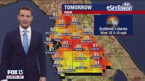 Tampa Weather | Hot & Humid