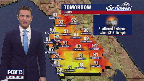 Tampa Weather | Hot & Humid