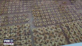 Charley's World | Saving our oceans