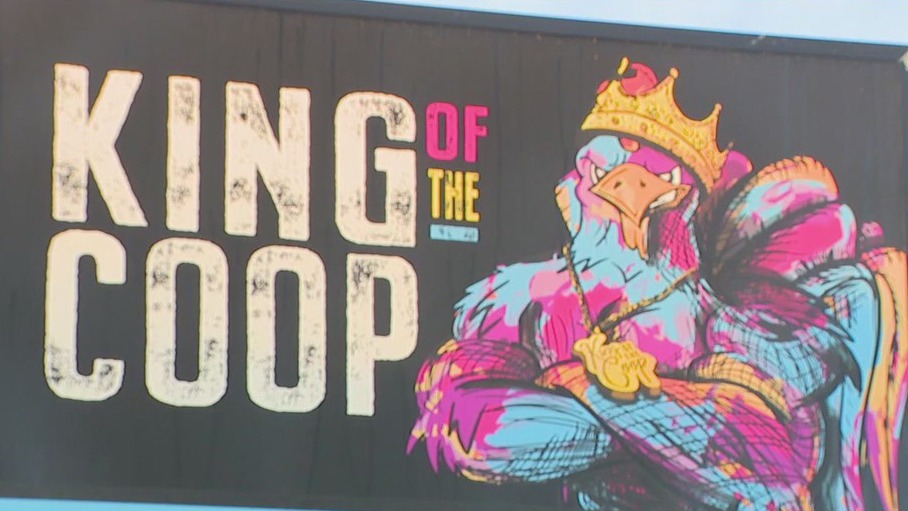 Charley's World | King of the Coop