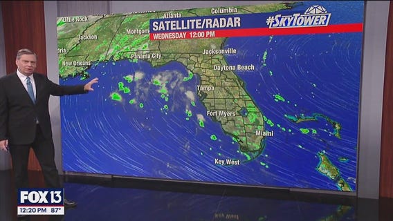 Tampa Weather | Daily storms possible, intense heat