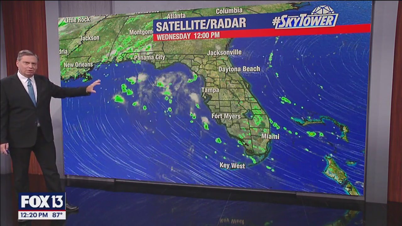 Tampa Weather | Daily storms possible, intense heat