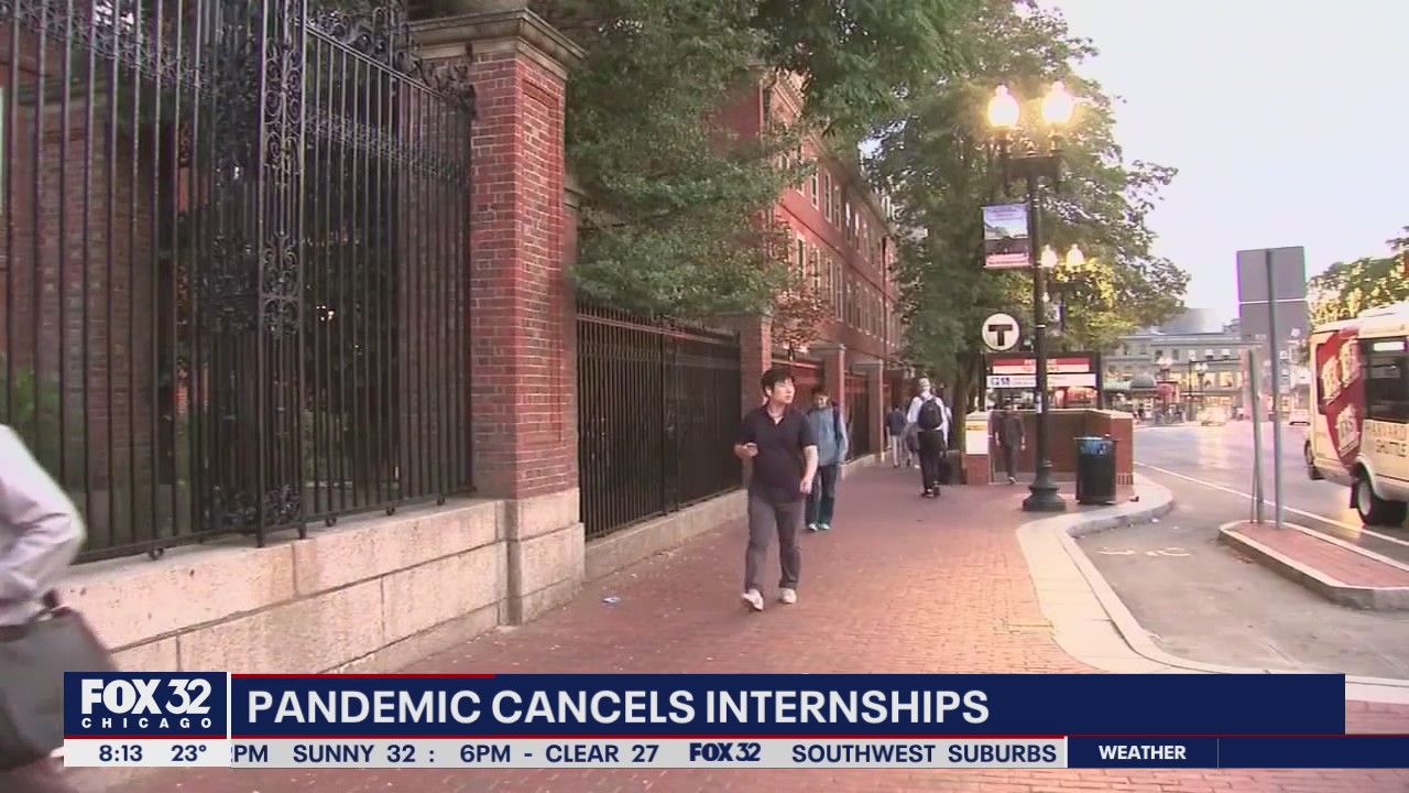 Pandemic guts internships for students looking to get experience