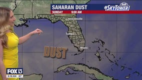 Tampa weather | Heavy rain and gusty winds Sunday