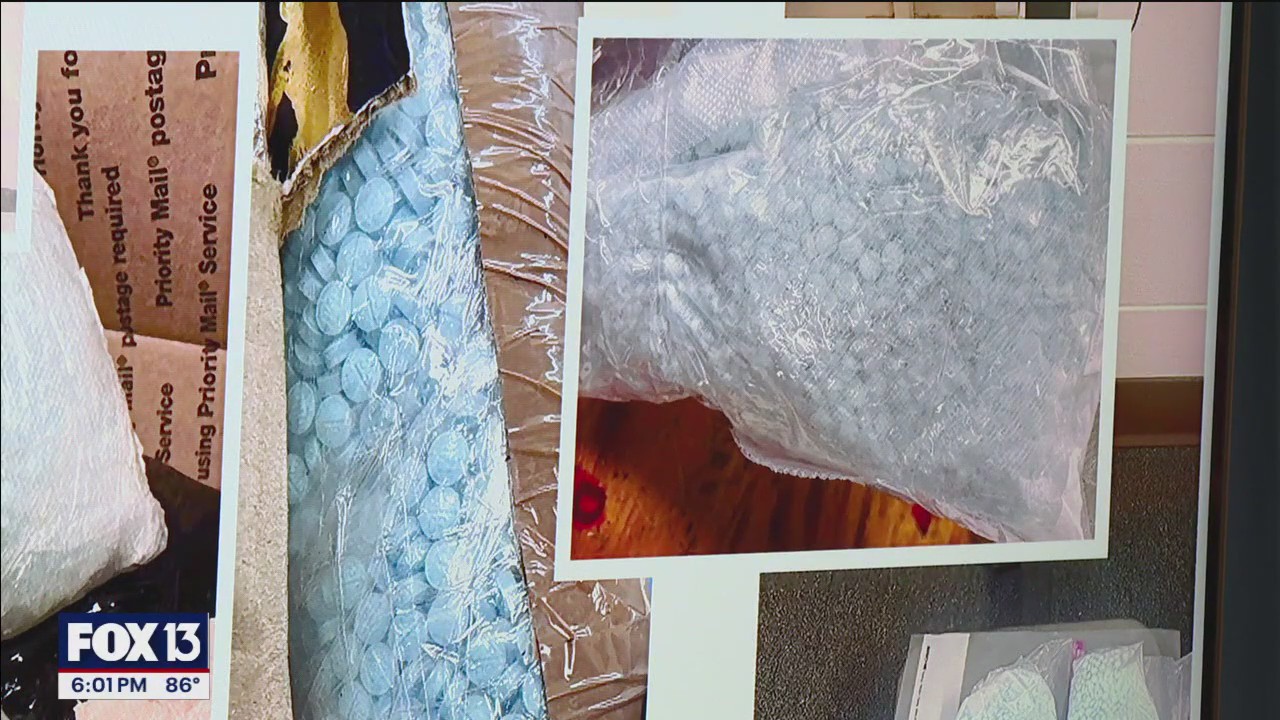 Massive fentanyl bust in Polk County | FOX 13 Tampa Bay
