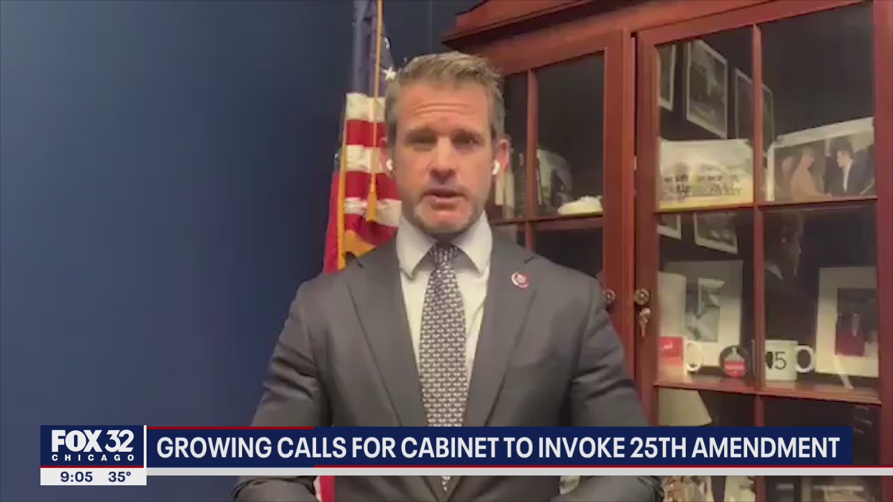 Illinois lawmakers call for removal of Trump: 'Dangerous' and 'loose cannon'