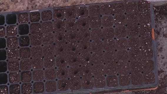 Planning for your fall garden