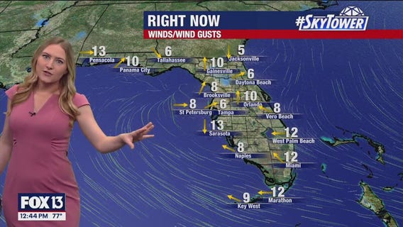 Tampa Weather | Scattered storms daily