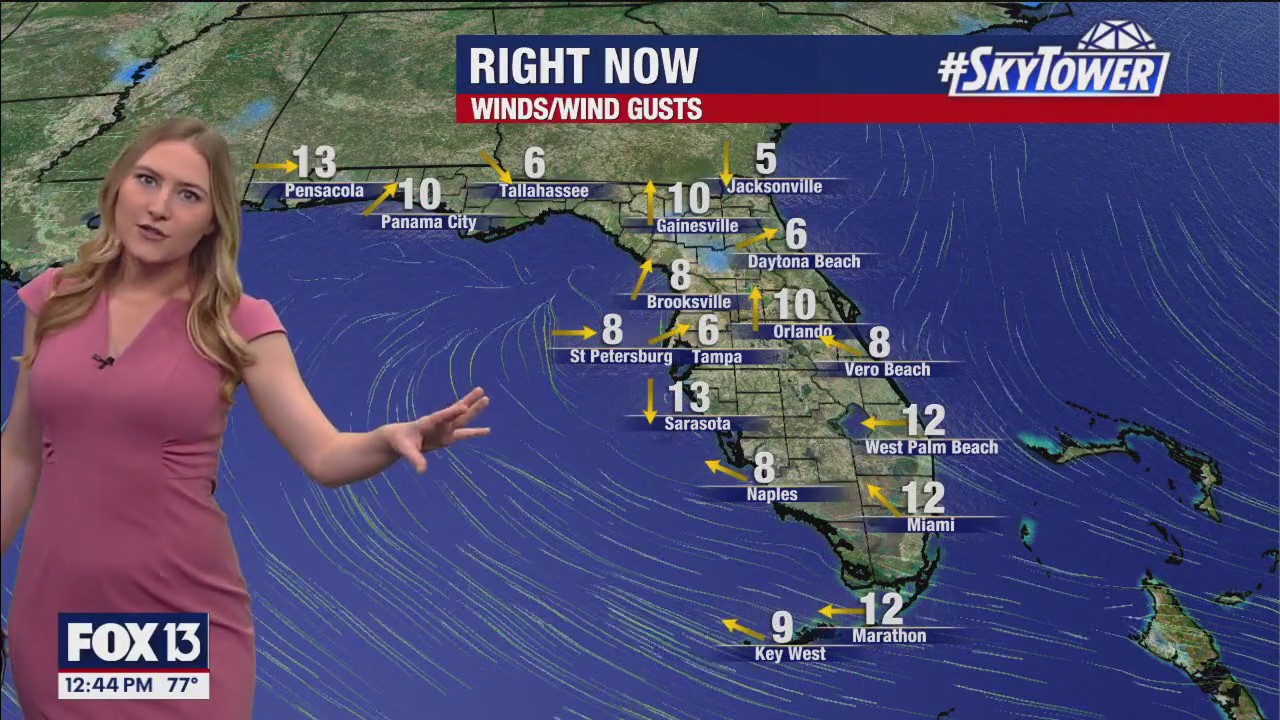 Tampa Weather | Scattered storms daily