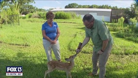 Charley's World | Owl's Nest Wildlife Sanctuary
