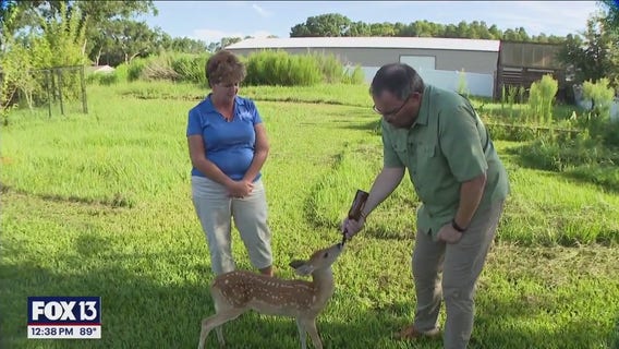 Charley's World | Owl's Nest Wildlife Sanctuary
