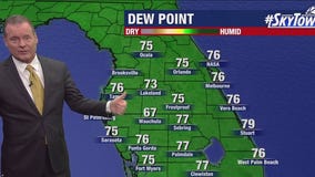 Tampa weather | Thursday forecast
