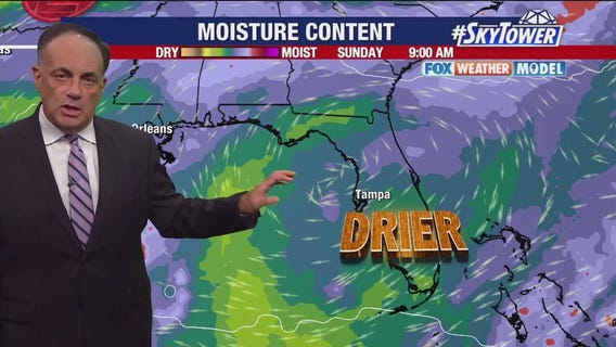 Tampa Bay weather | Afternoon thunderstorms tomorrow