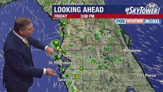 Tampa weather | Friday forecast