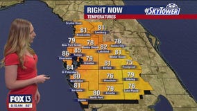 Tampa weather | Temps in the high 90s on Sunday