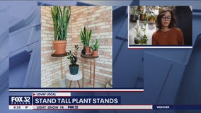 Lovin' Local: Stand Tall Plant Stands