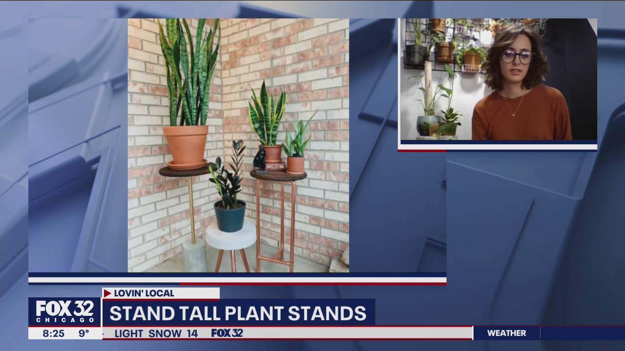 Lovin' Local: Stand Tall Plant Stands