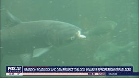 Lock and dam project hopes to block invasive species from Great Lakes