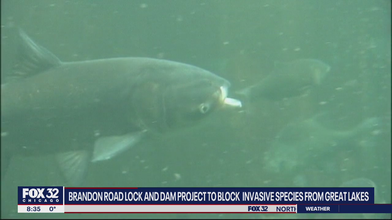 Lock and dam project hopes to block invasive species from Great Lakes