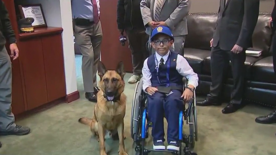 Bullied 9-year-old honored by NYPD