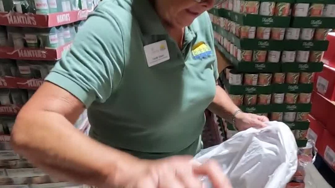 Manatee Food Security Network tackles growing crisis