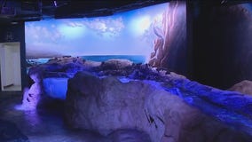 Charley's World | The Florida Aquarium