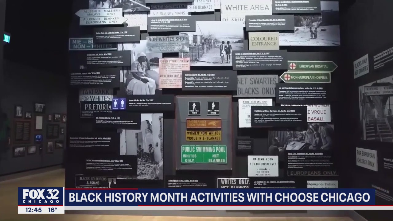 Black History Month activities abound across Chicago
