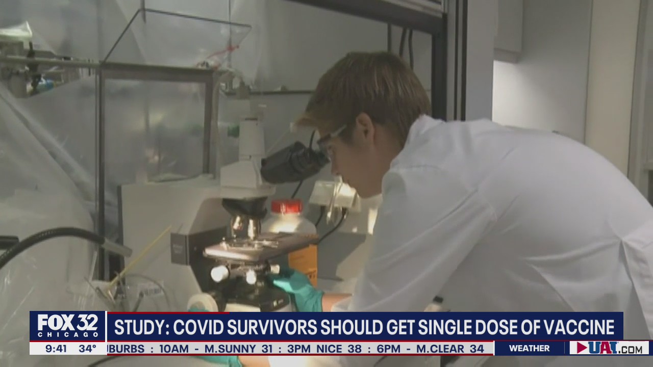 Study finds those who have previously contracted COVID-19 should get single dose of vaccine