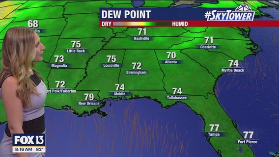 Tampa weather | Afternoon storms expected Sunday