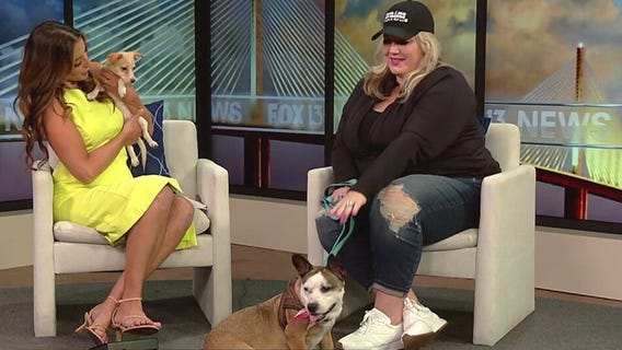 Maxx & Me Pet Rescue